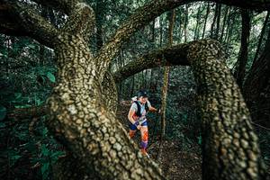 BIB: 
                            <button type="button" onclick="openModal(25394255)" class="btn btn-primary btn-sm float-right btn-popup" data-toggle="modal" data-target=".modal-high-quality">
                        <i class="fas fa-shopping-cart"></i> Add to Cart
                    </button>
                                            <button type="button" onclick="isThisMe(25394255, true)" class="btn btn-success btn-sm float-right btn-popup btn-isme hidden" data-toggle="tooltip" data-placement="bottom" title="นี่คือรูปของคุณใช่ไหม คลิกที่นี่เพื่อเอาเข้าอัลบั้ม">
                        <i class="fas fa-plus"></i> Add to album
                    </button>
                    <button type="button" onclick="isThisMe(25394255, false)" class="btn btn-warning btn-sm float-right btn-popup btn-isnotme hidden">
                        <i class="fas fa-ban"></i> Remove from album
                    </button>